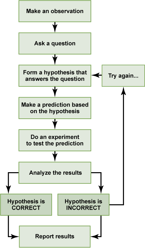 General steps in scientific method