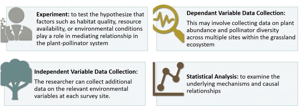 to illustrate how to conduct an explanatory research on the plant-pollinator system in the grassland ecosystem